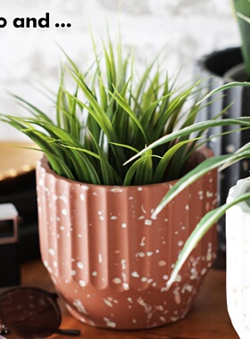 niko and ...花盆哑光创意简约竖纹波点盆栽183550