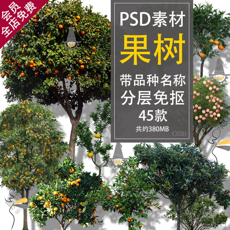 柑橘苹果石榴山楂梨荔枝柚子橙子树果树psd免抠分层图片素材
