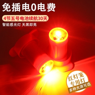 2025新款灯笼专用LED灯红光灯过年春节户外阳台灯笼伴侣智能感光
