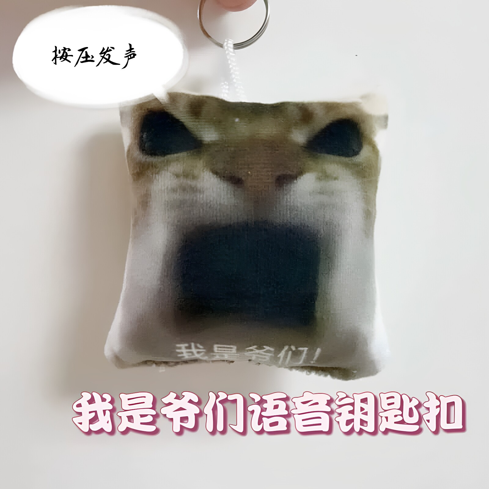 网红趣味整蛊我是爷们猫咪语音