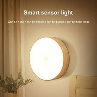 LED Smart Human Body Sensor Night Lamp Emergency Automatic L
