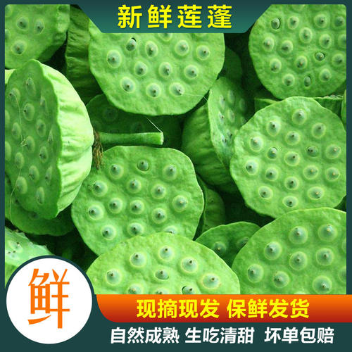 洪湖嫩莲蓬新鲜现摘现发生吃鲜甜心生莲子莲米湖北官方旗舰店