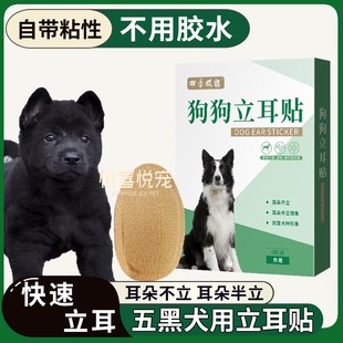 五黑狗立耳朵立耳器狗狗立耳神器辅助耳朵固定器幼犬立耳贴辅助器