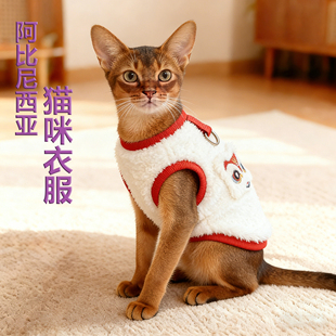 阿比西尼亚猫咪衣服2025新款冬天宠物冬装加厚秋冬可爱加绒棉