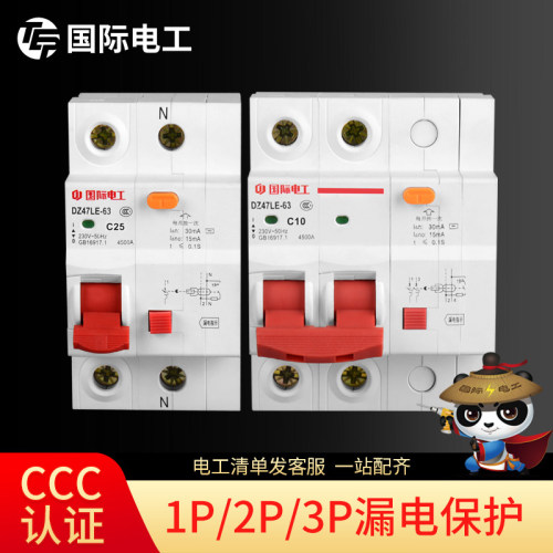 国际电工小型断路器DZ47家用电闸1/2P63A总空气开关带漏电保护器
