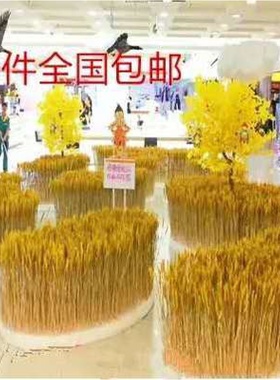 干花小麦稻穗天然麦穗真正麦子大麦穗头橱窗农家乐装饰拍摄道具
