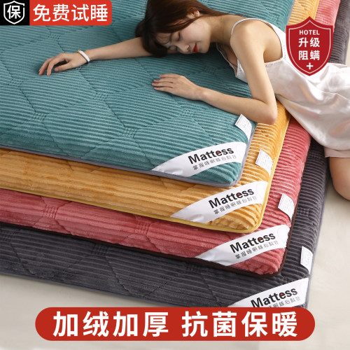 【加绒加厚】冬季魔法绒保暖床垫