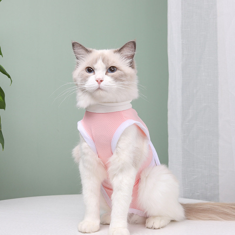 猫咪手术服宠物绝育衣服