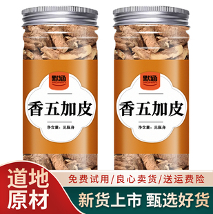 香五加皮中药材五加皮干货新鲜南五加皮根香料泡水可搭五味子散装