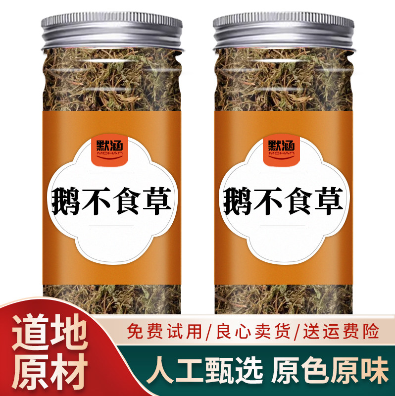 鹅不食草中药材散装干货