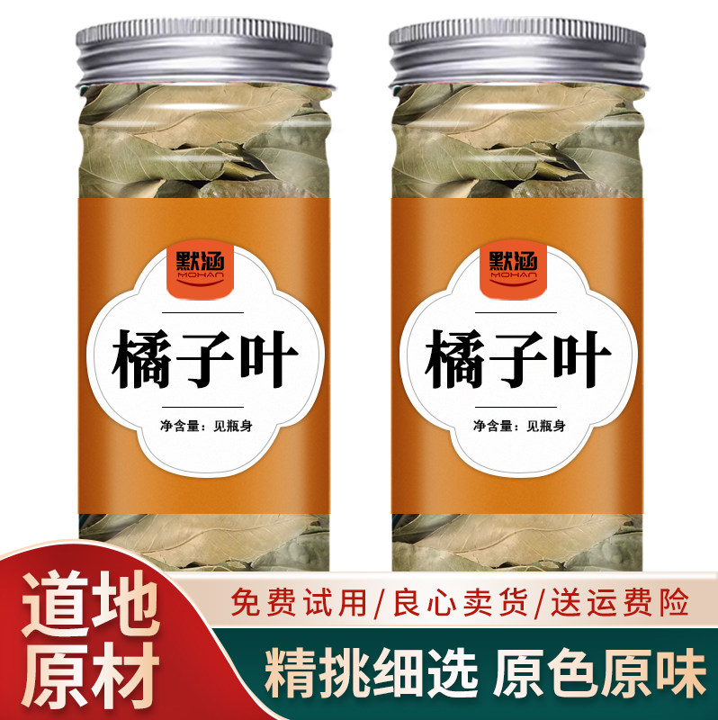 橘子叶中草药干橘叶茶金青桔叶精选桔子叶新鲜橘子叶可打橘子叶粉