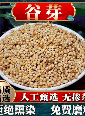 谷芽中药材药用中草药材大全500g芽新鲜生麦芽大麦芽茶回泡水奶