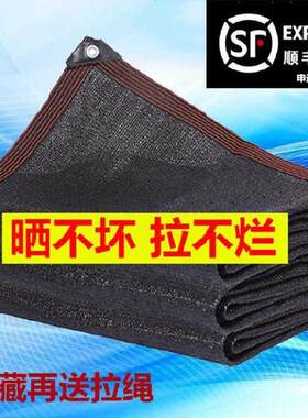 黑色遮阳网降温停车位草花