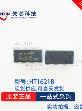 全新原装 HT1621B HT1621 SSOP-48贴片 LCD驱动器 液晶芯片IC