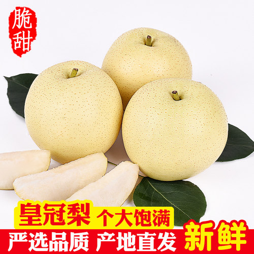 新鲜皇冠梨当季河北梨子水果脆甜