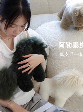 Texdream态度 阿勒泰小马驹真羊毛玩偶可爱儿童公仔沙发抱枕摆件