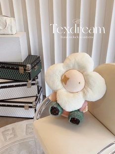 雪絨花 Texdream態(tài)度 卡通抱枕可愛毛絨圓形玩偶沙發(fā)客廳午睡靠墊