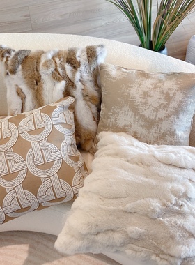 Texdream态度 米咖色ins轻奢现代棉麻抱枕客厅沙发靠枕靠垫套含芯