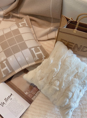 态度 重磅|Avalon洋甘菊 椰白抱枕H家羊绒毯轻奢靠垫客厅沙发靠垫