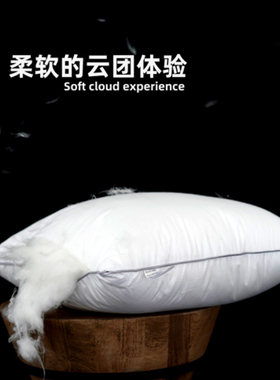纯棉加密高弹棉羽丝绒抱枕芯沙发靠垫靠枕芯抱枕枕芯正长方形枕芯