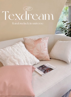 Texdream态度 石英粉法式ins现代抱枕客厅沙发靠枕儿童房可爱靠垫