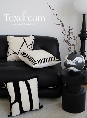 Texdream态度自然风肌理刺绣抱枕极简侘寂棉麻靠枕客厅沙发靠垫套