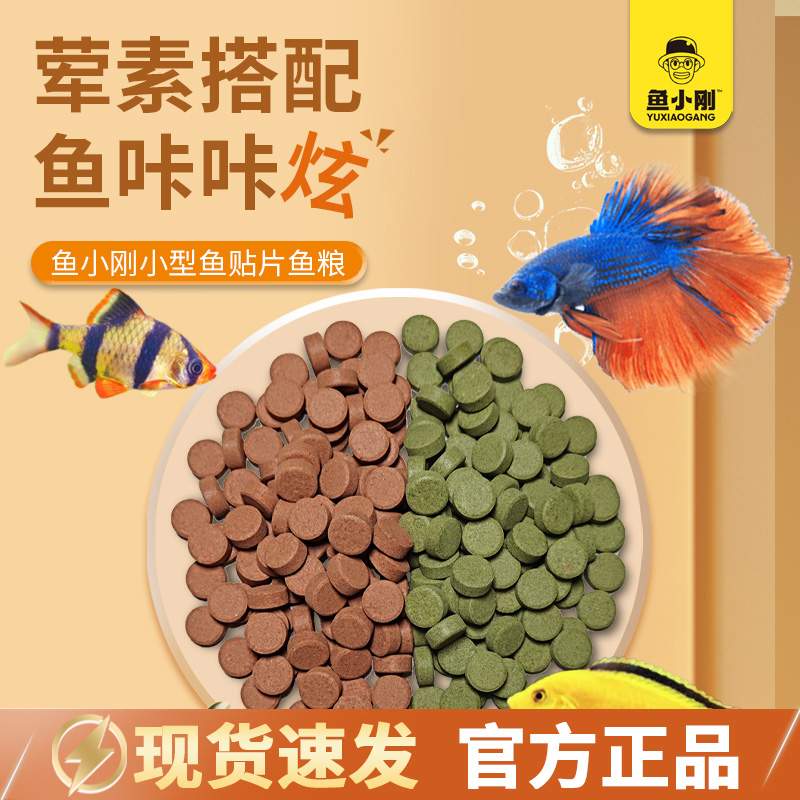 鱼小刚贴片鱼粮小型鱼鱼饲料