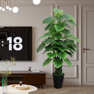 饰大型仿生绿植盆栽室内落地摆件高塑料植物假花 假树仿真树客厅装