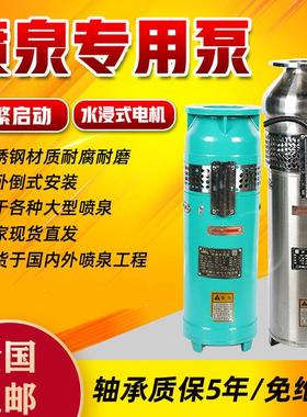 304不锈钢喷泉水泵QSP喷泉专用泵水景景观潜水泵变频电机喷泉泵