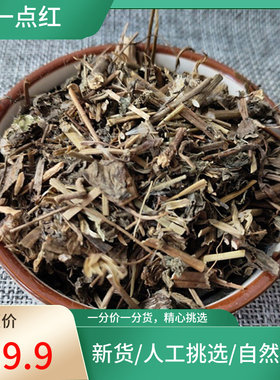 正宗 一点红 500g新鲜晒干叶下红羊蹄草红叶草红背叶中药材原材料