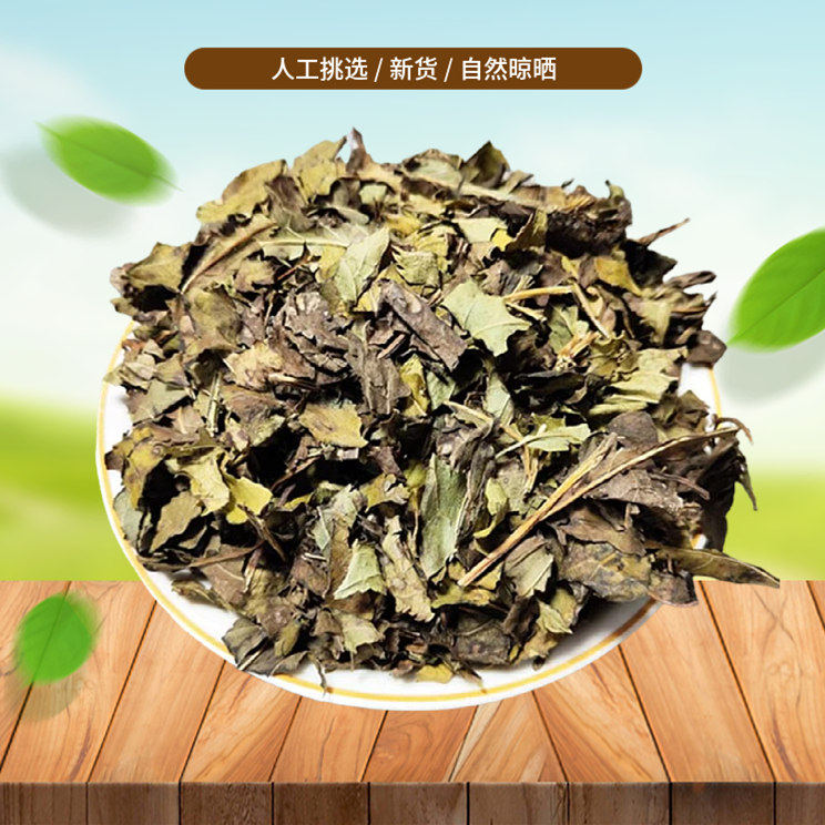 山间谷草 接骨木叶子 精选 接骨木叶 500g包邮非中药材粉新鲜干货