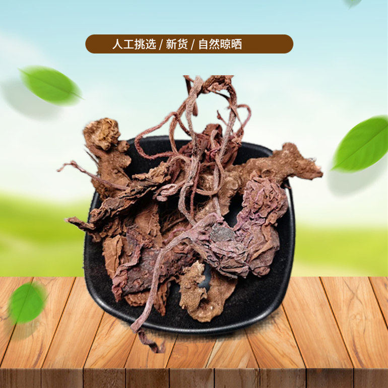 正宗甄选 红天葵500g克 紫背天葵 散血子 红水葵 新货 非中药材粉