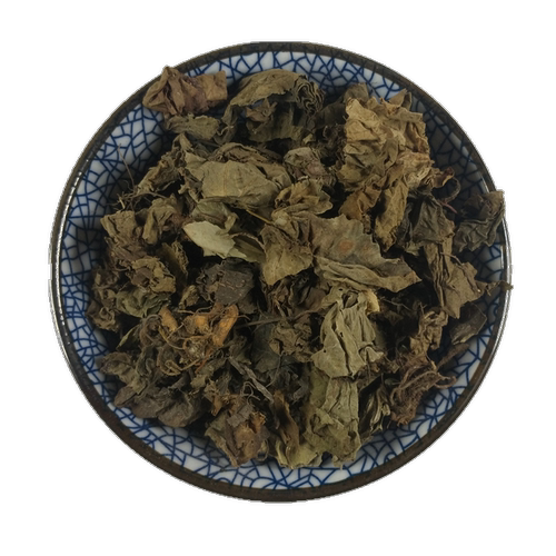 山间谷草 虎耳草 500g石荷叶金线吊芙蓉老虎耳新货非中药材耳朵红