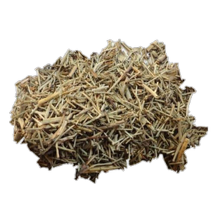 问荆500g克别名：节节草 公母草 搂接草 笔头菜