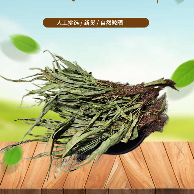 马蹬草 500g 过桥草 还阳草小石韦马蹬草新鲜干货挑选 非中药材粉
