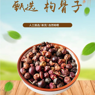 正宗 功劳籽 500g 功劳子 枸骨子 猫儿刺籽新鲜干货干净