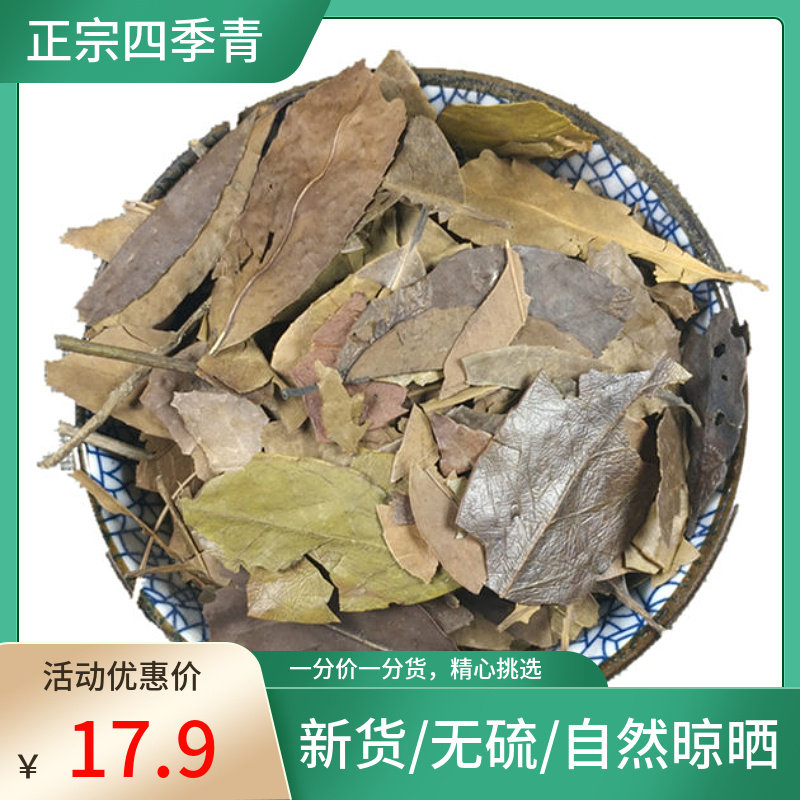 山间谷草 四季青 500g 四季青叶 红冬青 非野生中药材粉新鲜干货