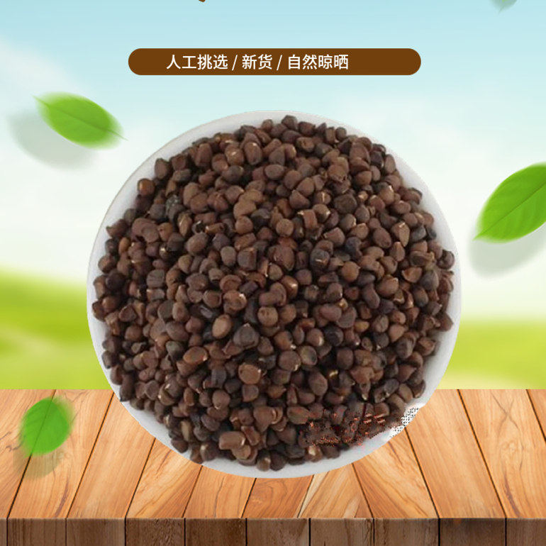 马蔺子 500g 别名:马兰子,蠡实、荔实、马楝子、马莲子、中药材