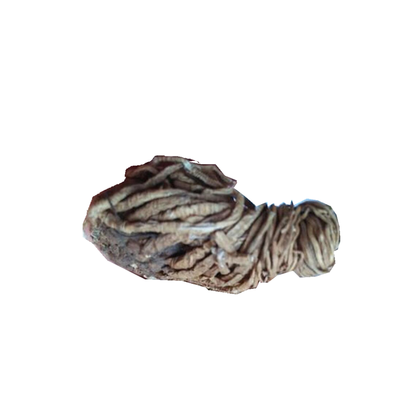 头顶一颗珠500g 延龄草 芋儿七 狮儿七 新鲜干货 非中药材粉