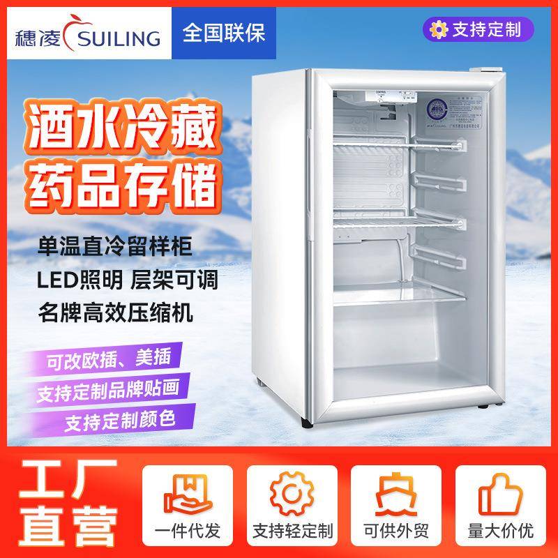 冰柜小型冷柜单温饮料柜茶叶冰箱办公室冰吧食品留样柜展示柜