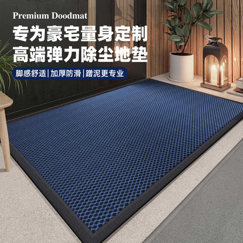 2025新款入户门垫高端别墅脚踏垫