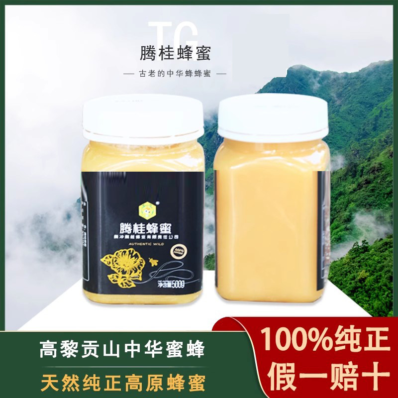 云南腾冲腾桂蜂蜜纯正天然农家土蜂蜜冬蜂蜜山桂花蜂蜜孕妇500g