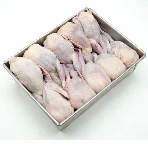 鹌鹑肉新鲜10只活体母非烧烤食材