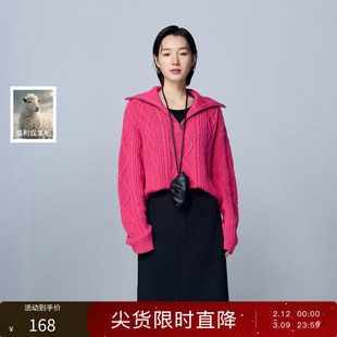 【绵羊毛】三彩丽雪leisure25冬新款套头拉链毛衣绞花肌理感上衣