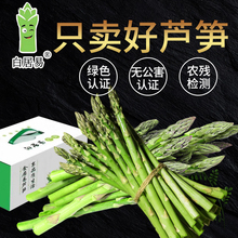 白居易新鲜芦笋蔬菜包邮3斤