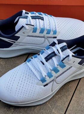 Nike/耐克Pegasus飞马38男子运动休闲缓震公路跑步鞋CW7356-101
