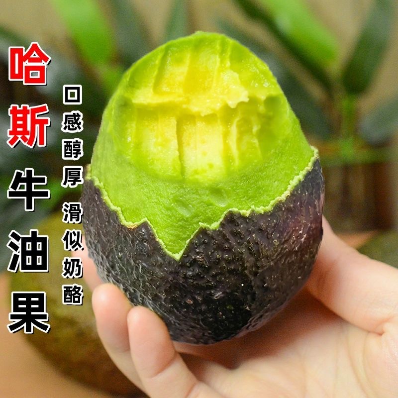 正宗秘鲁哈斯牛油果新鲜进口水果孕妇宝宝辅食低脂代餐鳄梨批发