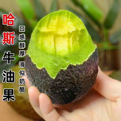 正宗秘鲁进口哈斯牛油果