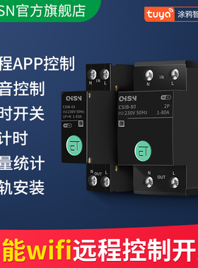 涂鸦智能APP手机远程控制器wifi家用电源总闸电闸配电箱遥控开关