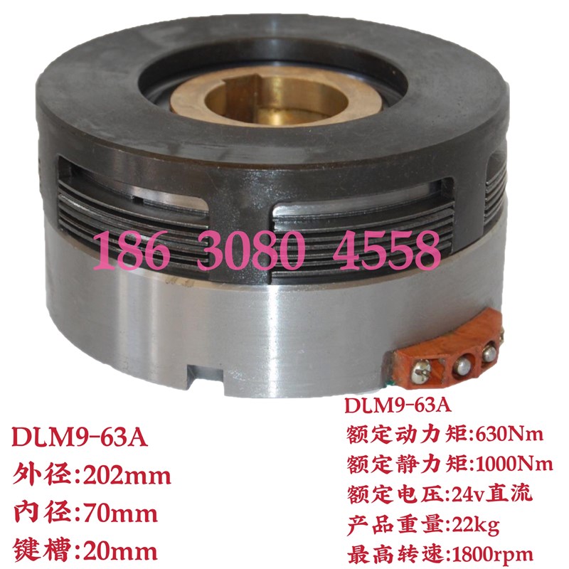 电磁离合器DLM9ERD2A5A10Av16A25A40A63湿式多片DC24V直流质保一